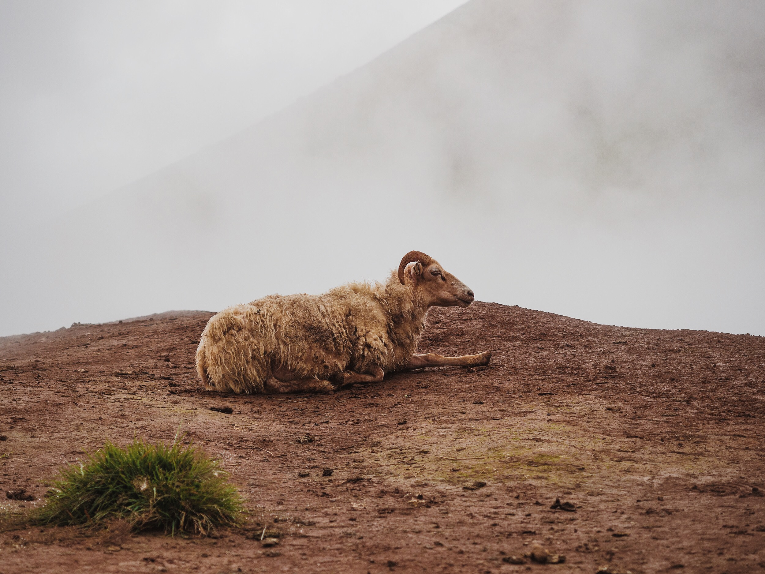 Reykjadalur Hike